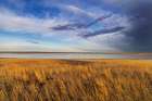 Prairie grasslands and Lake Bowdoin at Bowdoin National Wildlife Refuge near Malta, Montana, USA. Landscape Print